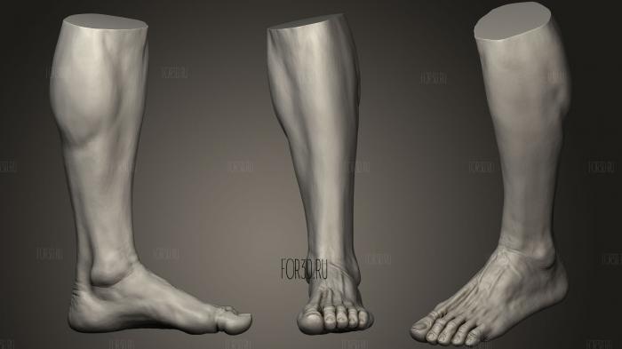 Male Foot 117